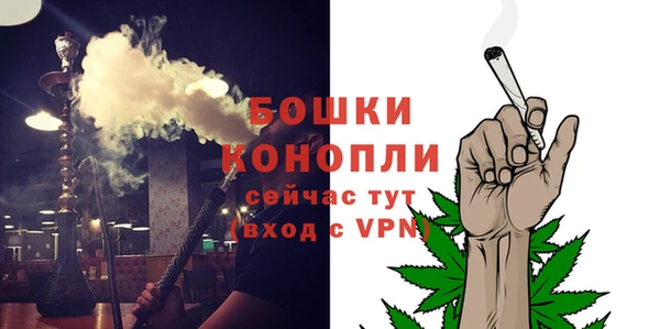 кокс Белокуриха