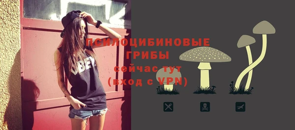 мяу мяу кристалл Богданович