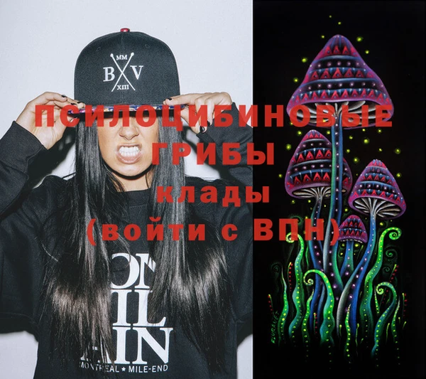 кокс Белокуриха