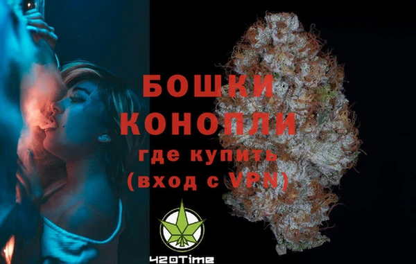 кокс Белокуриха