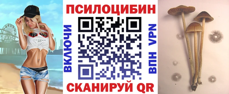 где можно купить наркотик  Верхняя Пышма  Галлюциногенные грибы GOLDEN TEACHER 