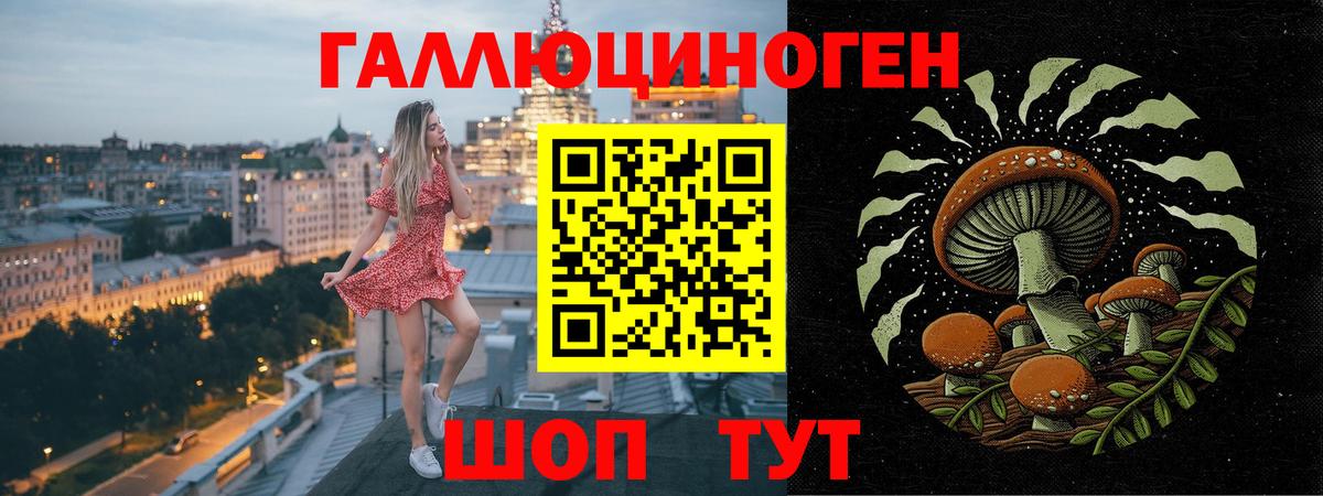 Верхняя Пышма  Галлюциногенные грибы мухоморы  Вход с VPN 